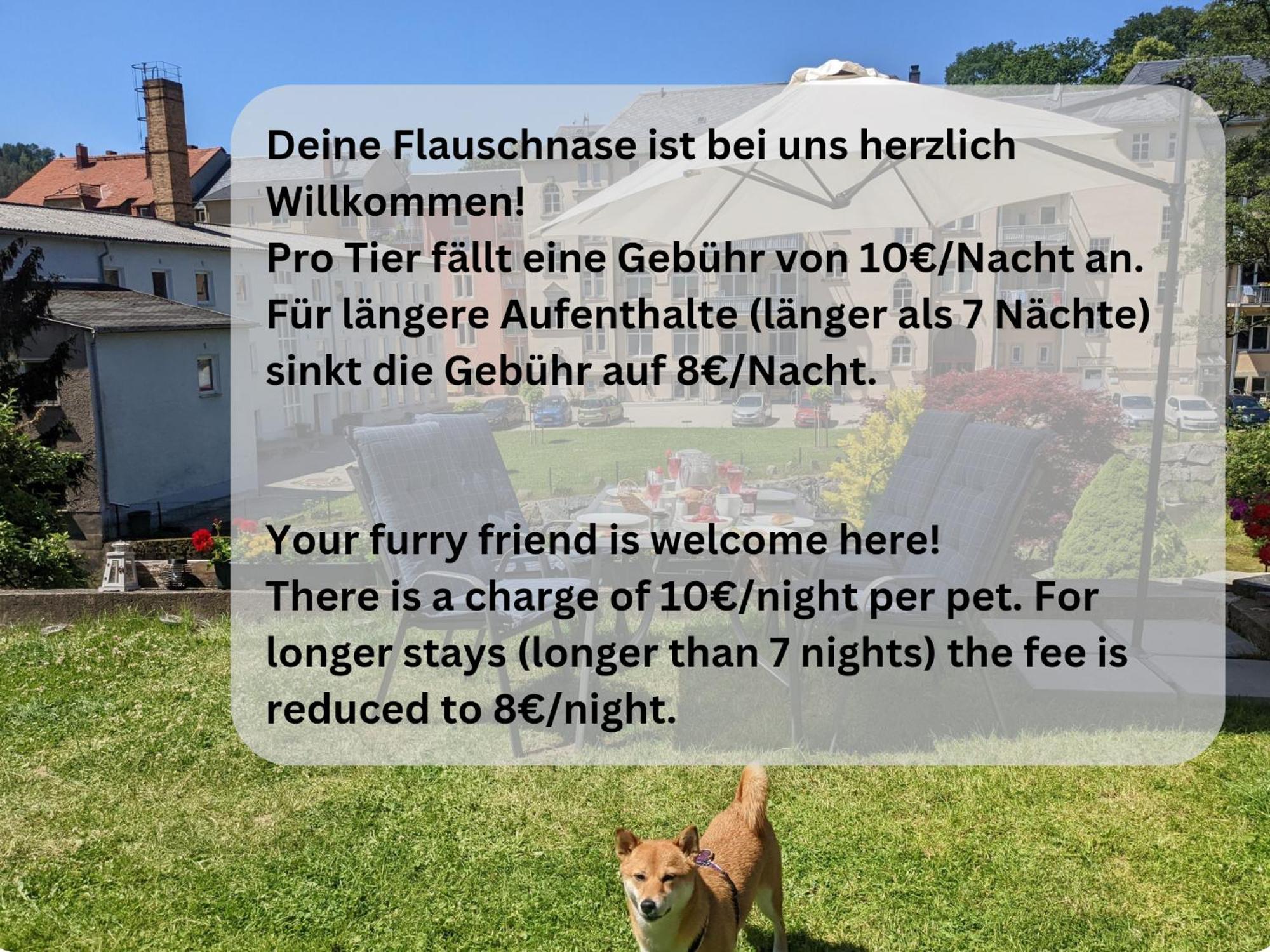 Hw2B - Urlaubsmagie - Wohlfuehlwohnung Mit Balkon, Pool, Sauna & Terrasse Sebnitz Exterior foto